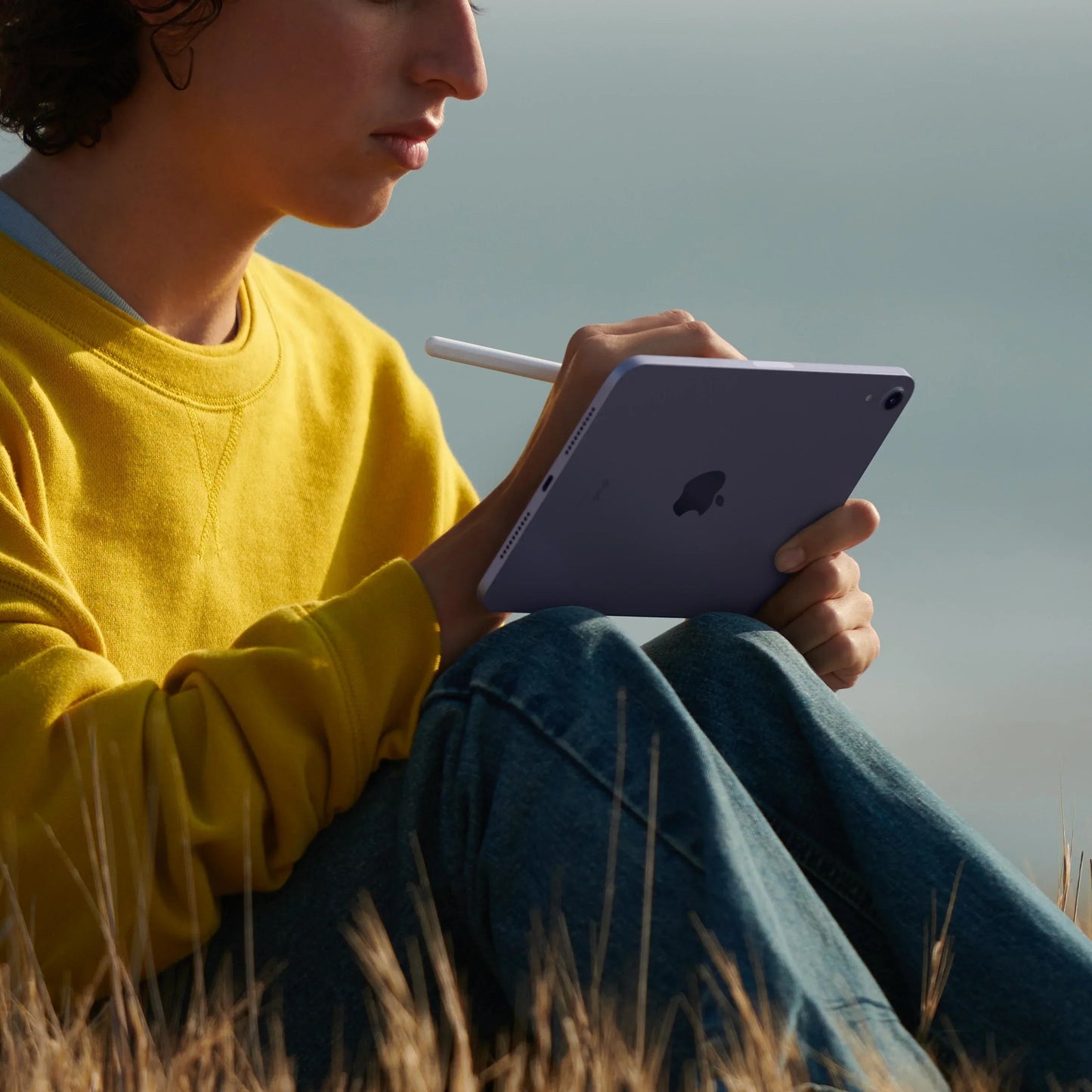 iPad mini Wi-fi 256GB Starlight